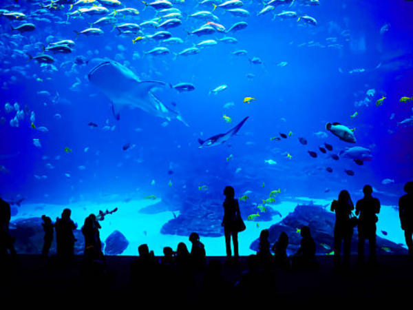 Go2 Antalya City & Aquarium