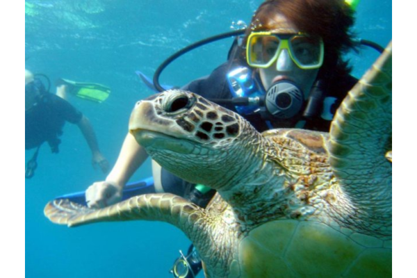Go2 Diving