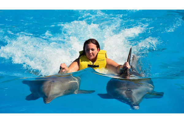 Go2 Swimming with Dolphins